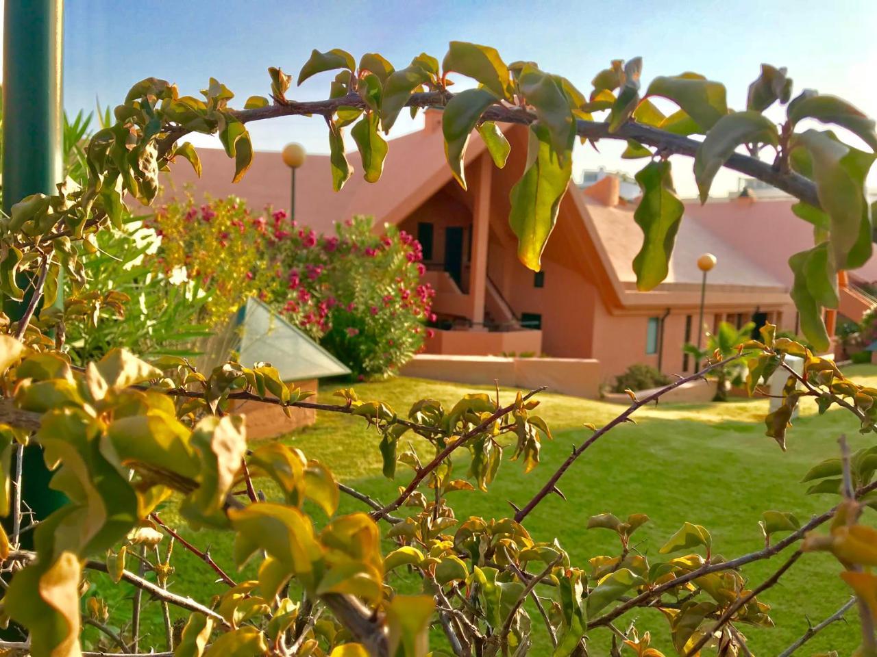 Marina Garden By Ethnic Ocean Vilamoura Exterior foto